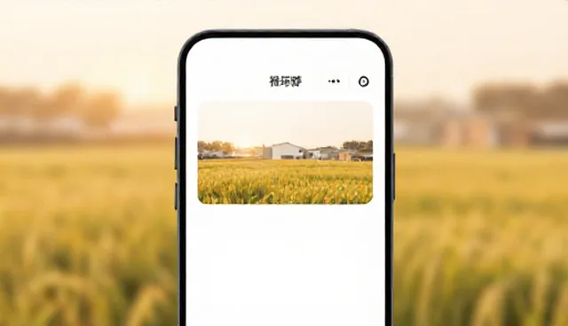 软件开发中的安全防护如何保障用户体验？