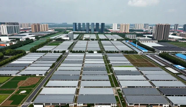 系统兼容性在网站维护中的关键作用及发展趋势
